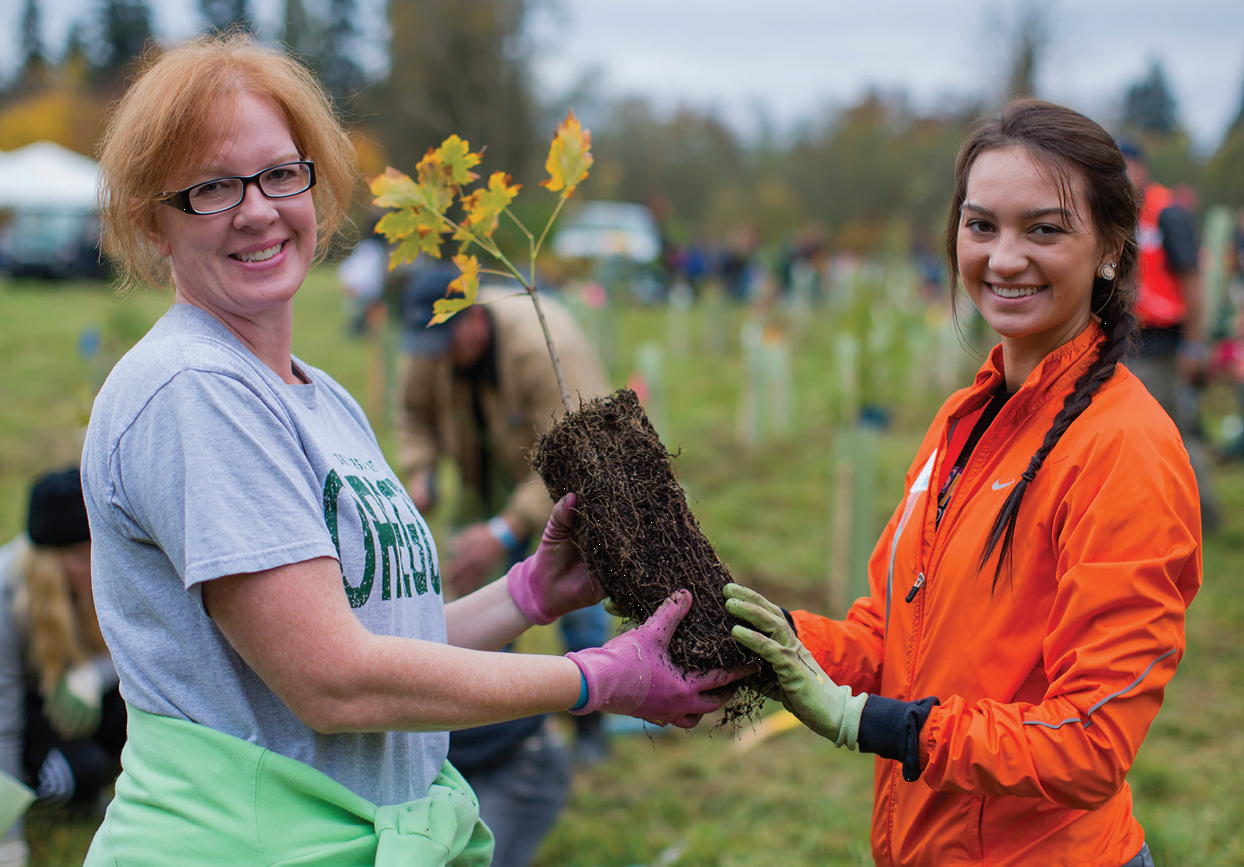 Stream Stewards tree planting