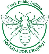 Pollinator Project