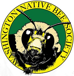 Washington Native Bee Society