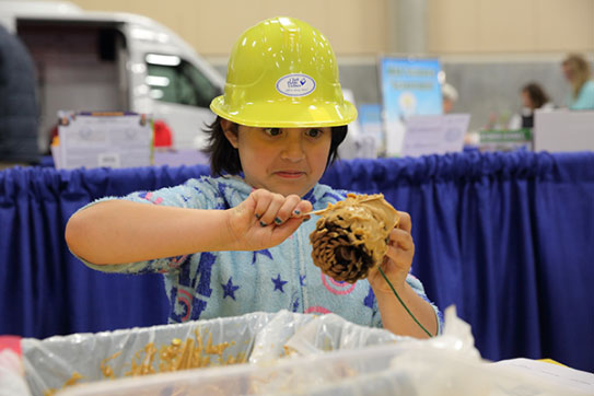 kids-activities-pinecone